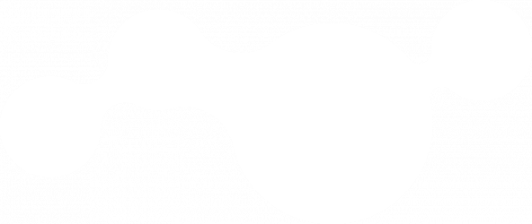 Vector